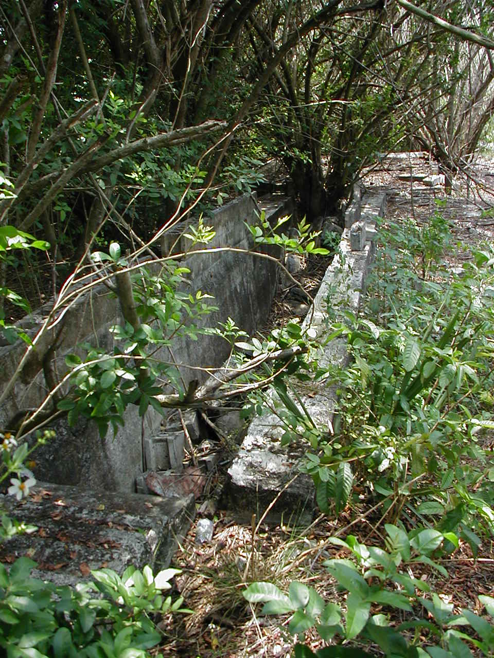 Florida Dipping Vats